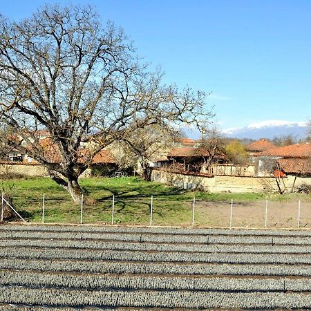 Вила В С. Габарево, Долината На Розите. Gabarevo 外观 照片