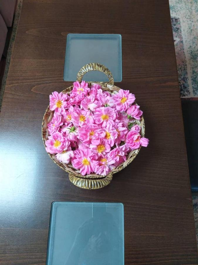 Вила В С. Габарево, Долината На Розите. Gabarevo 外观 照片