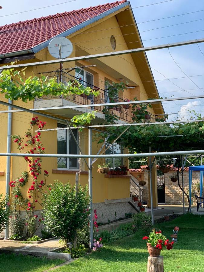 Вила В С. Габарево, Долината На Розите. Gabarevo 外观 照片